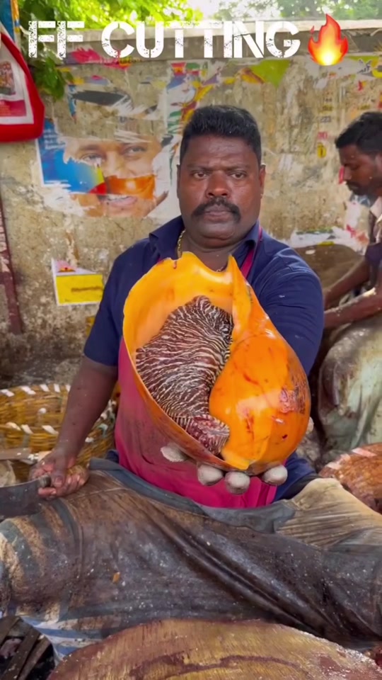 Fish cutting thumbnail from TikTok