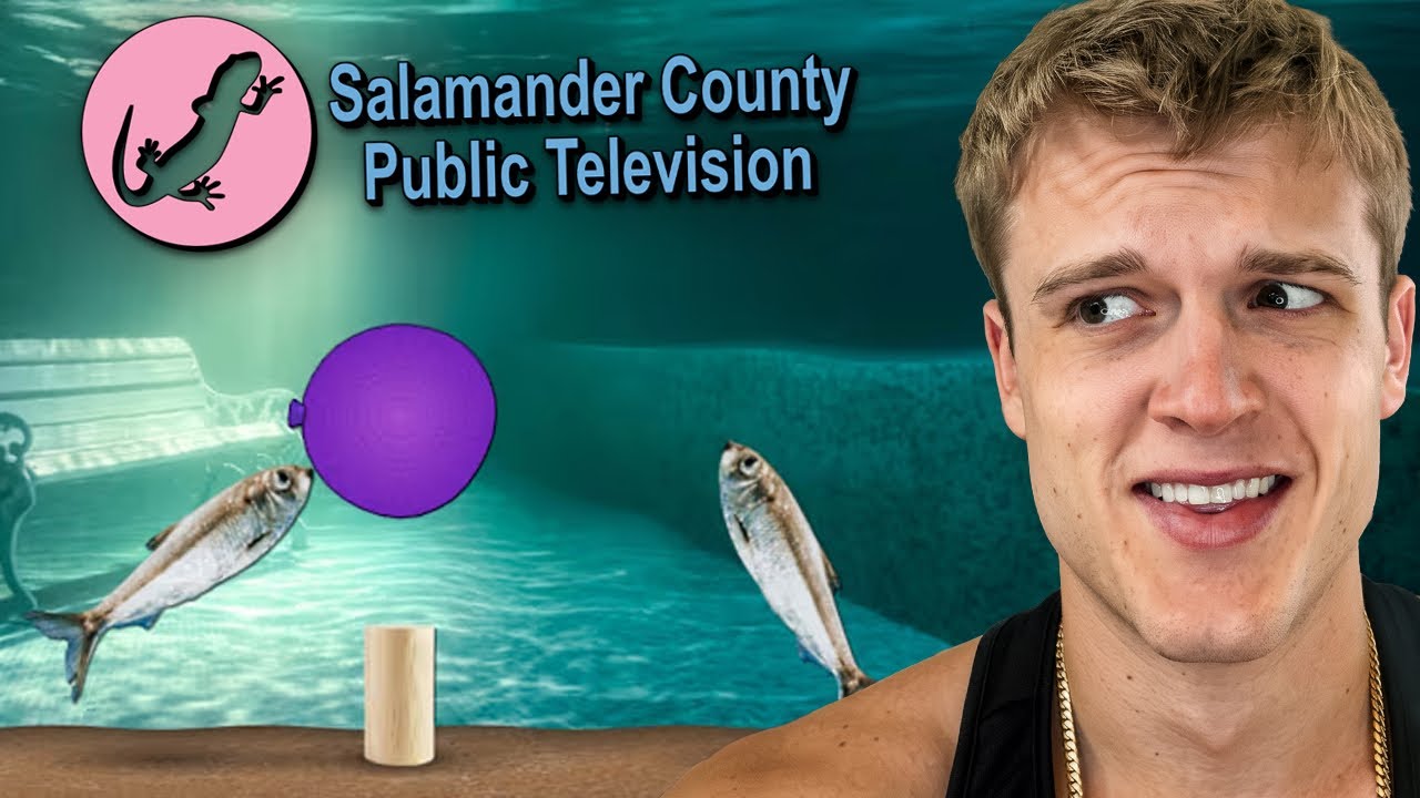 The Most Random Minigames Of All Time thumbnail from YouTube