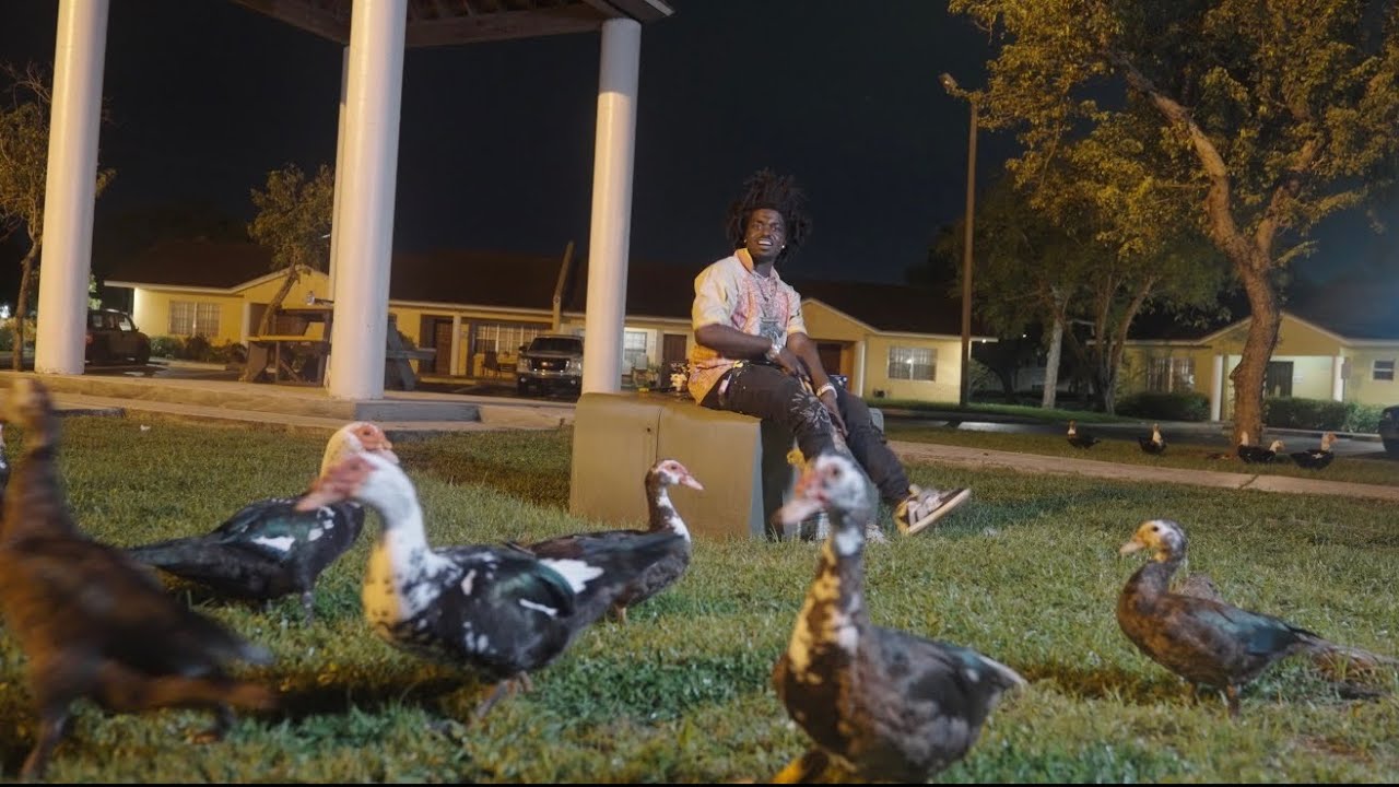 Kodak Black - Little Birdie [Official Music Video] thumbnail from YouTube