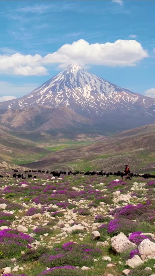 4 July Tomorrow Belongs to Damavand A Symbol of Strength, Majesty, and Timeless Endurance In Honor of Iran’s Highest... thumbnail from TikTok