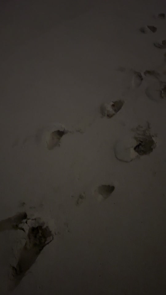 هواجيس clip thumbnail from TikTok