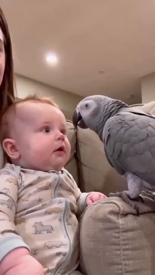 Smart Parrot Funny Moments You Won't Believe 😂🦜 | Part 140 thumbnail from TikTok