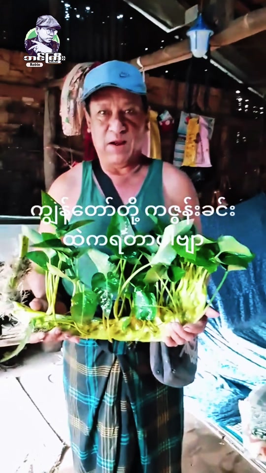 ငွေတွေဝင်ချင်ရင် ကန်စွန်းနဂါကြီးကို ရှဲထားကြနော်🐉 thumbnail from TikTok