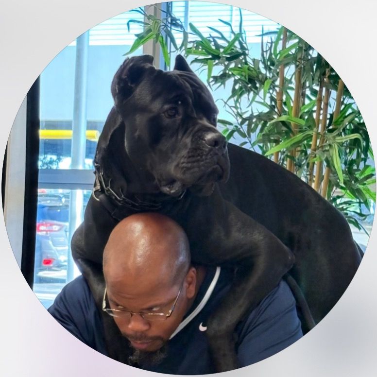 BigAssDave channel avatar