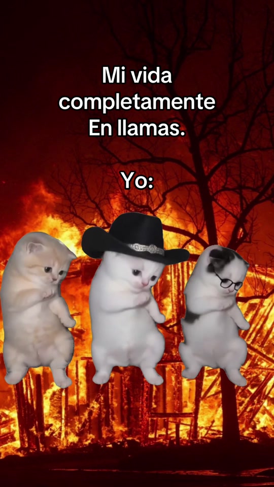 Y yo: La calabaza 🎃 thumbnail from TikTok