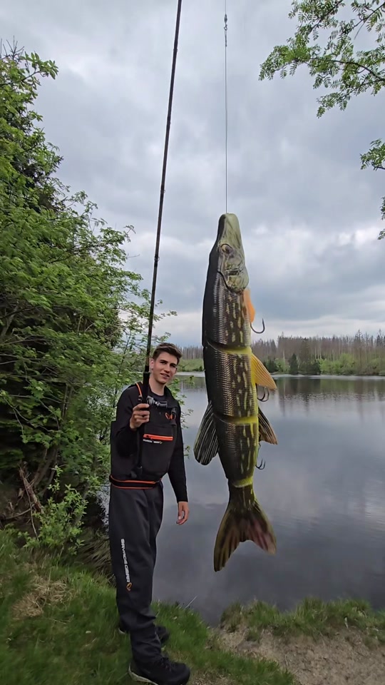 😱Can Max cast the 48cm Line Thru Pike?! All in for the Big ones! 🔥🐊 @harz_fishing thumbnail from TikTok