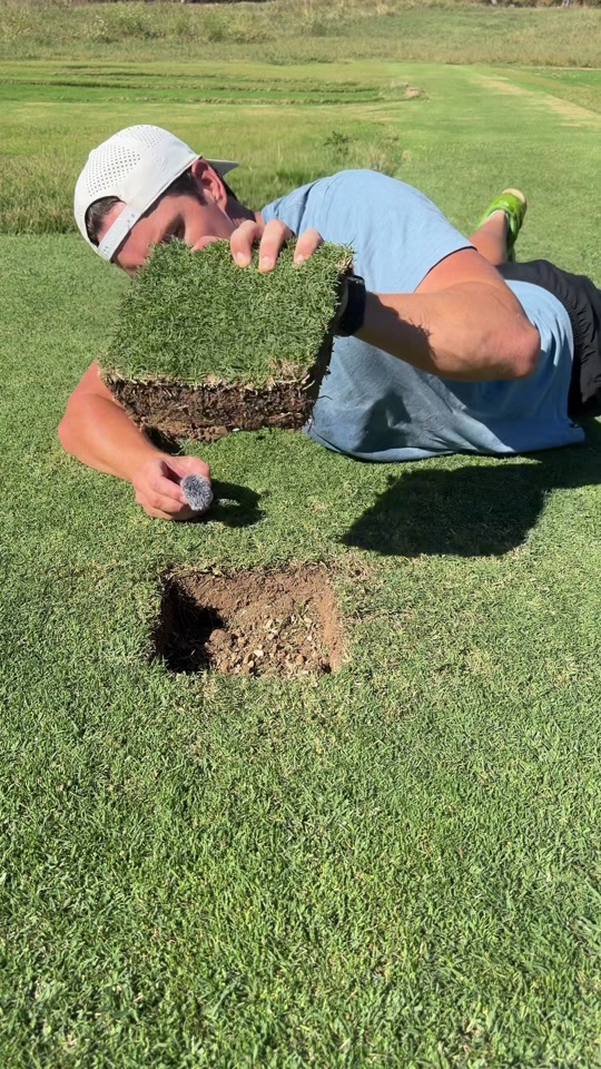 Replying to @Astral~ There’s a Rock in my Lawn… or 7 thumbnail from TikTok