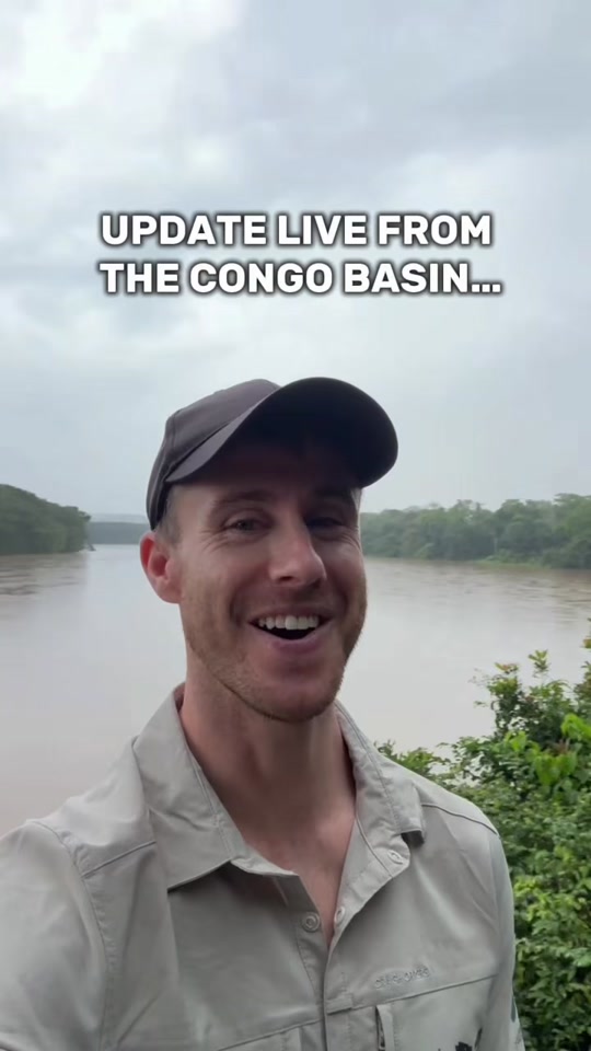 UPDATE LIVE FROM THE CONGO BASIN… thumbnail from TikTok