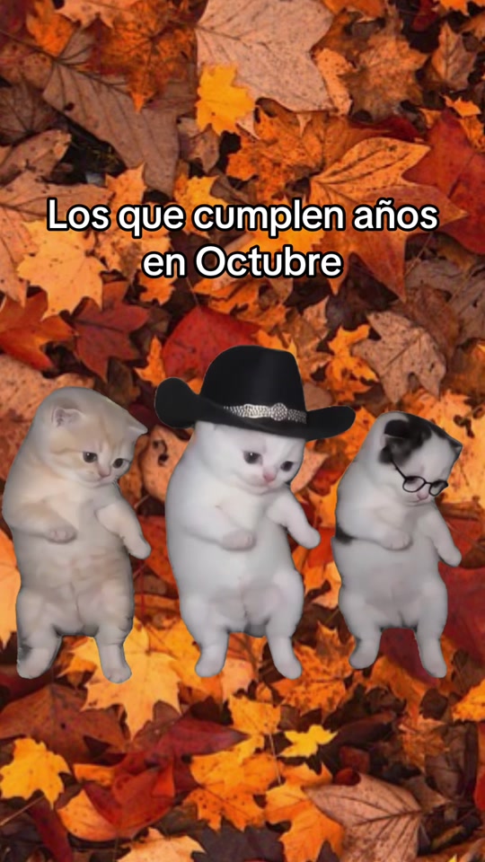 Cumplen en octubre 🎃 la calabaza thumbnail from TikTok