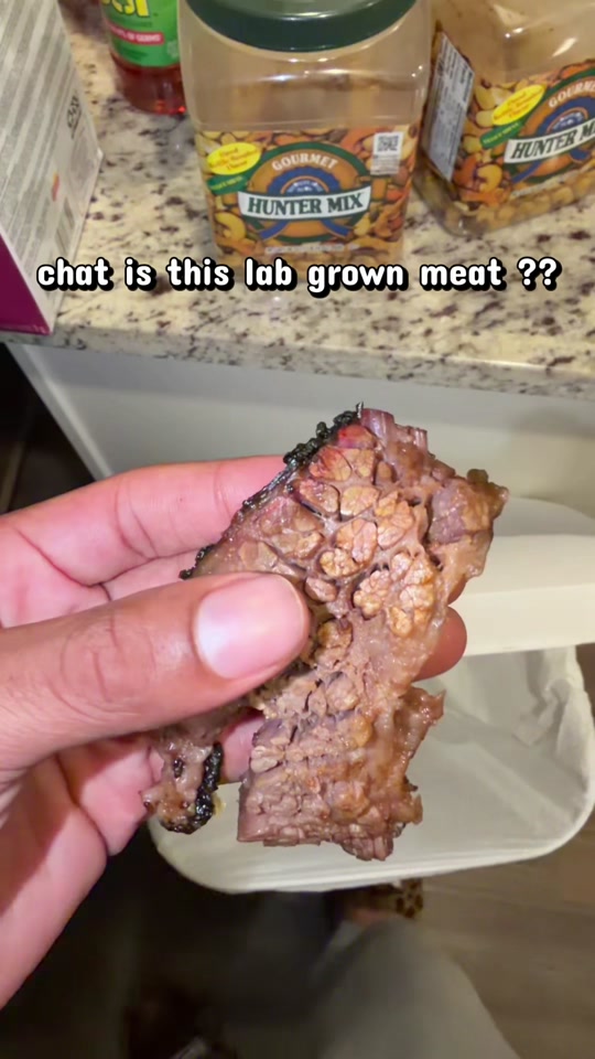 why my brisket look like this chat 🥲🤮 thumbnail from TikTok