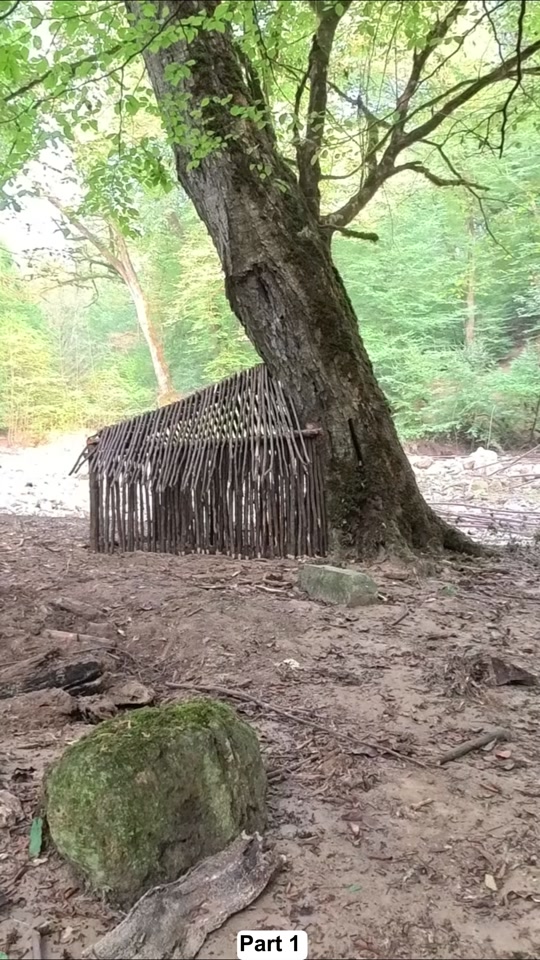 Building a Warm and Cozy Log Cabin With Stone oven thumbnail from TikTok