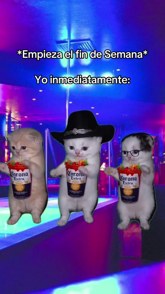 Fin de semana 🔥 La michelada thumbnail from TikTok