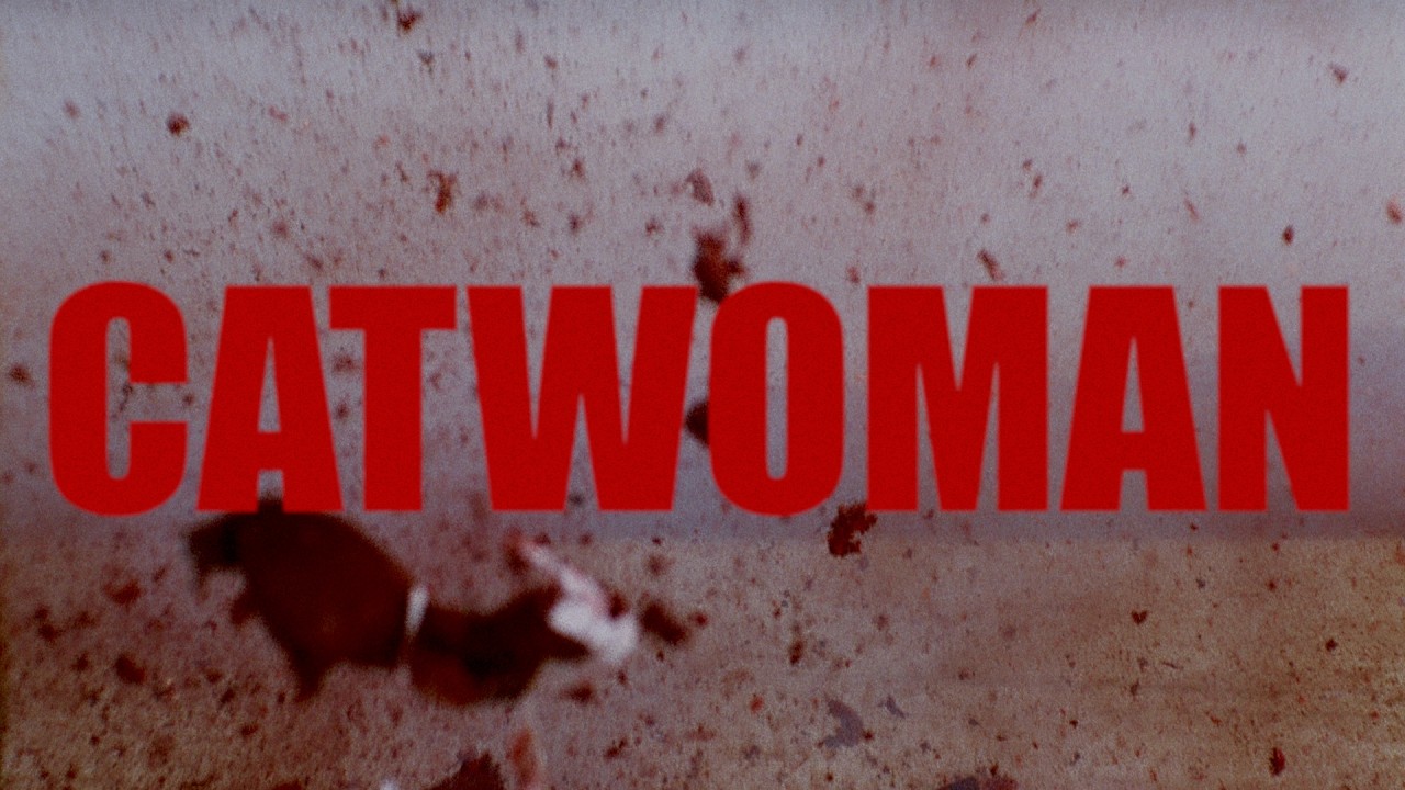 CATWOMAN | Swamp Sessions thumbnail from YouTube