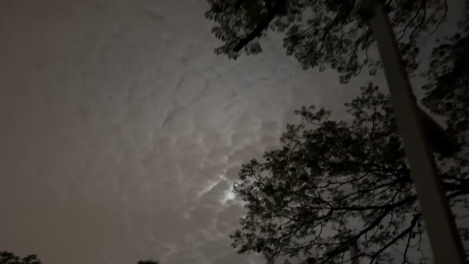 عباراتكم thumbnail from TikTok