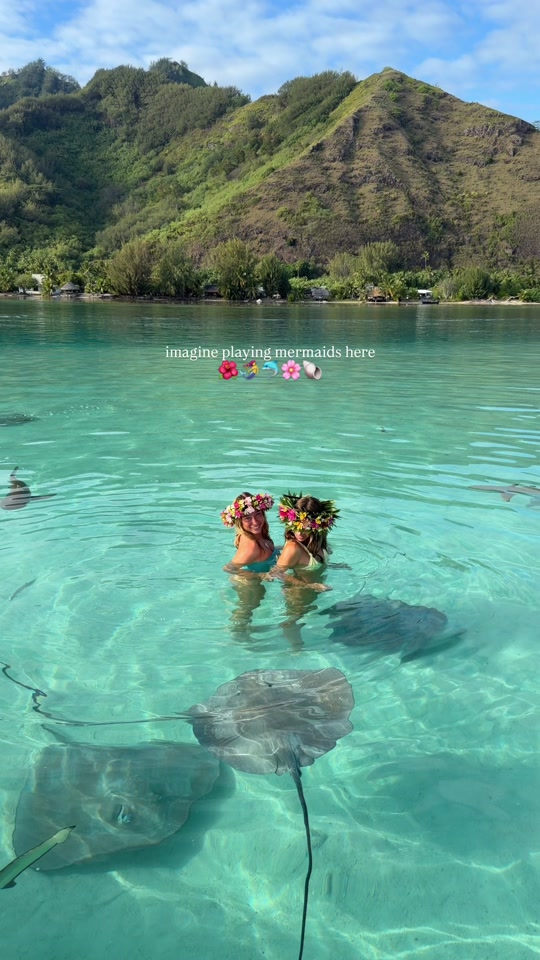 best spot for mermaids in the world thumbnail from TikTok