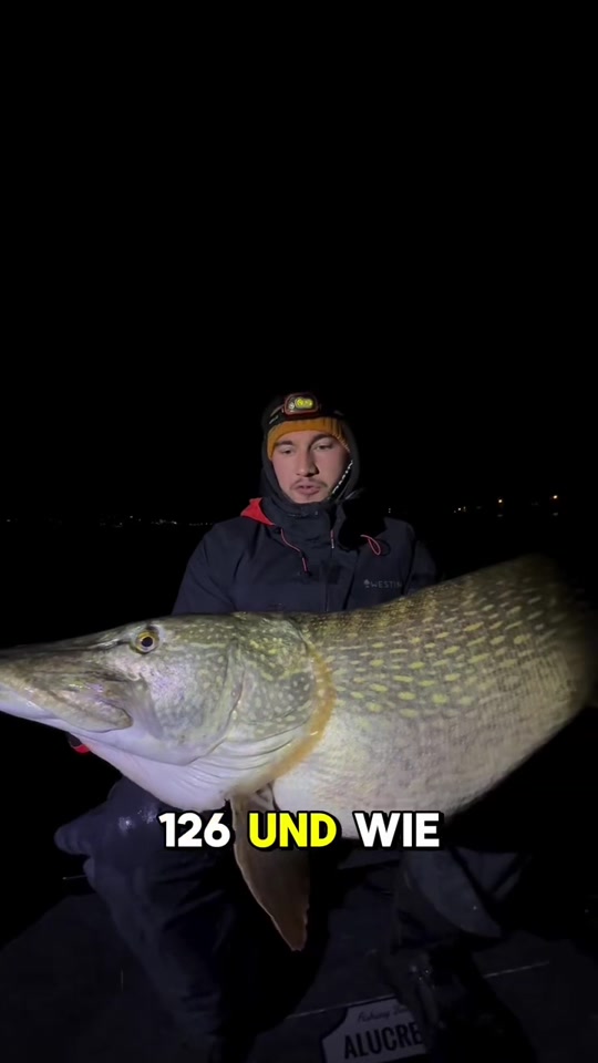 This guy from Germany caught his new PB! Insane fish mate 💪🏻🔥 thumbnail from TikTok