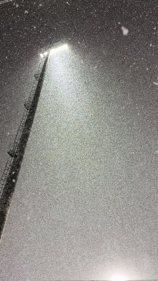 created by pinos with palejmo’s оригинальный звук thumbnail from TikTok