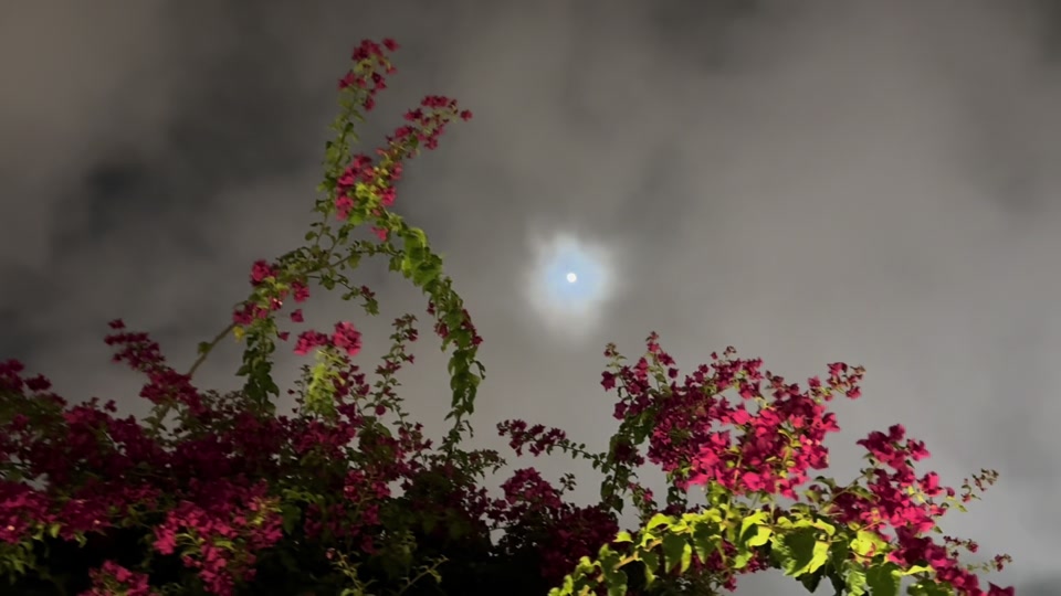 عباراتكم thumbnail from TikTok