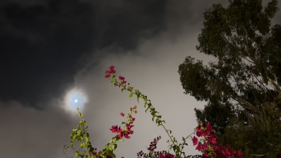 عباراتكم thumbnail from TikTok