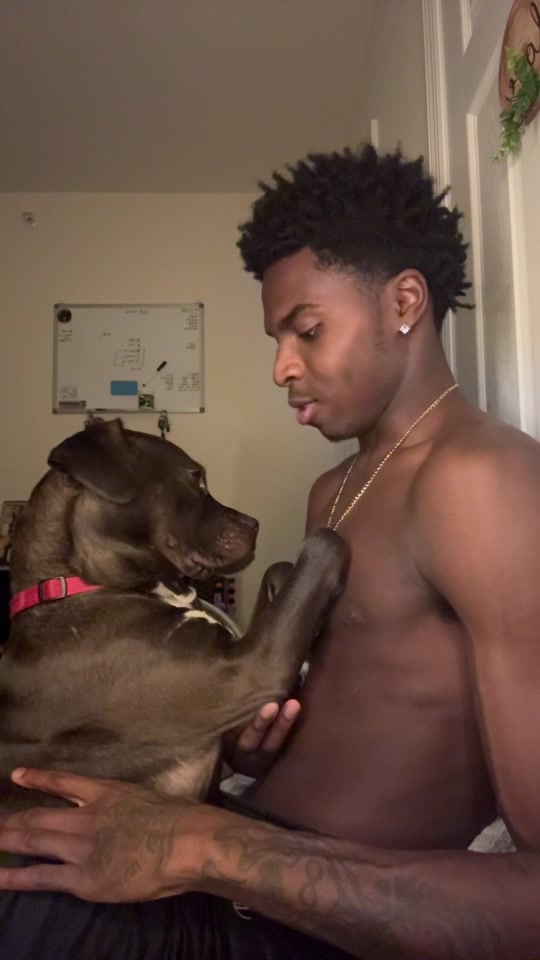 I family caught him in 4K😭😭 thumbnail from TikTok