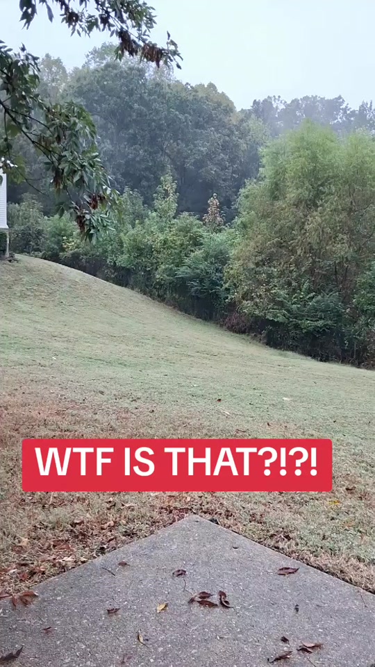 Am I trippin or na? thumbnail from TikTok